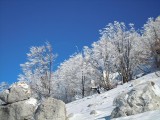 17. pogled